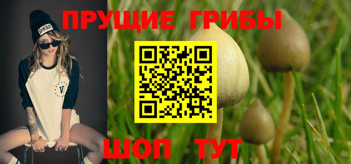 Рославль  Галлюциногенные грибы Magic Shrooms  Вход с VPN  закладка  Псилоцибиновые грибы прущие грибы 
